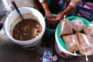 a vendor selling padaek (dirty fish sauce) in Laos (photo by Cindy Fan)